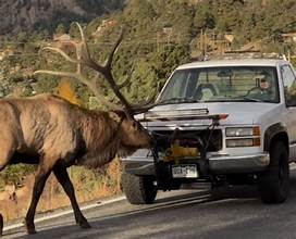 Wildlife Driver Vacancy – Mokala National Park (5-Month…