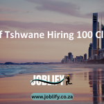 City of Tshwane Hiring 100 Cleaners